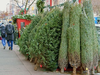 Iglice sa novogodišnja jelke neće opadati: Ovaj trik zaludeo je ceo svet, dovoljna su samo dva sastojka