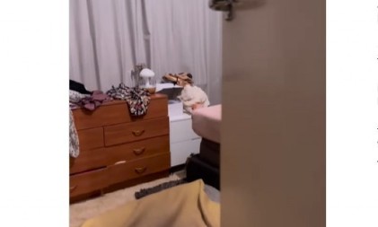 Žena zatekla muža u krevetu s njom! Vratila se s posla, otvorila vrata spavaće sobe, a ono što je videla nikada neće zaboraviti