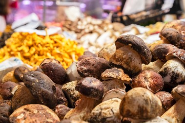 Jako su hraljive, a retko ko ih u Srbiji jede: Ovo je superzdrava gljiva, može smanjiti rizik od dijabetesa, ali i ublažiti simptome depresije