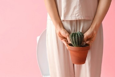 Ovo stvara hemoroide: Anketa došla do zapanjujućih rezultata, više od 10 minuta već dovodi do problema