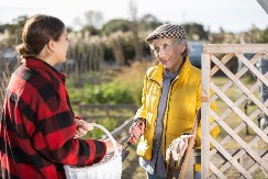 Šta se seje u oktobru i novembru u bašti: Evo koje povrće dobro podnosi niske temperature, a vi prvi u selu ubirate plodove