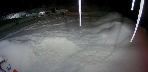 Zaprepastio se kada je video šta mu je u dvorištu: Vratio kamere, a ono što je primetio mu je istopilo srce