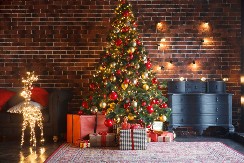 Dušu će vam razgaliti: Mališan je prvi put video uključene lampice na jelki, njegova reakcija je sve raznežila