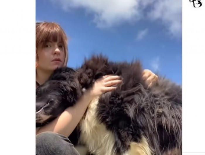 Istopiće i najtvrđa srca: Snimak devojke koja ljubi psa raznežio 50 miliona ljudi!