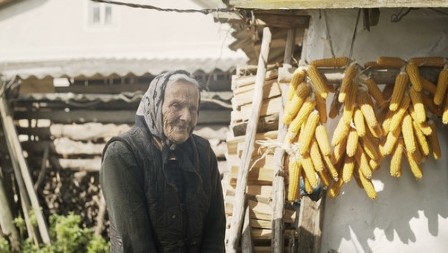 Naši preci nisu bili "blesavi" što su ovo jeli svaki dan: Povrće od samo 25 kalorija smatra se da je najzdravije