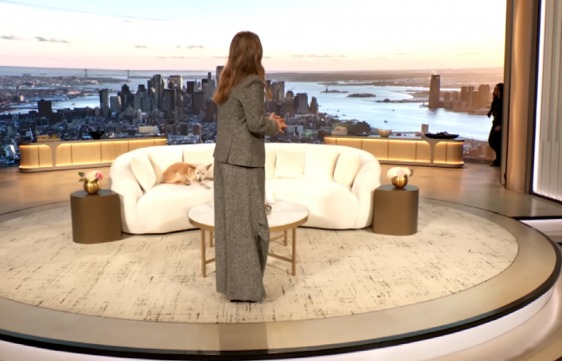 Isplatilo se bizarno ponašanje: Voditeljka (50) osvojila Emi nagradu, njenu emisiju prati cela Srbija