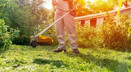 Uništava vam travnjak, a možda ni ne znate da je tu: Čak i starim baštovanima često ovo promakne