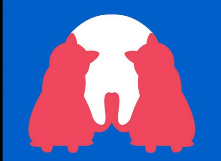 Da li ste na slici prvo videli psa ili mačku? Ovaj test otkriva istinu koju ne želite sebi da priznate!