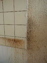 Otapa i onu najgoru masnoću, skida sve kao od šale: Kako očistiti kuhinjske pločice, biće kao nove