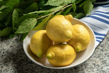 Slavica je zabola lovorov list u limun: Rezultat je oduševio, sada stalno koristi ovaj trik!