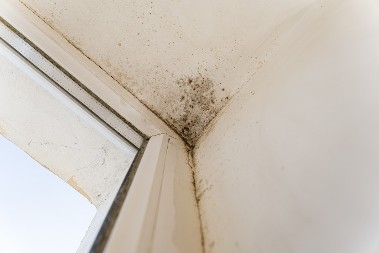 Sprečite buđ pre nego što bude kasno: Navika od 10 minuta će spasiti vaš dom od čestog problema, domaćice se kunu u nju