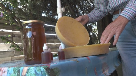 Zapišite savet starog pčelara: Ako vas ujede osa, komarac, pčela, ovaj lek je spas