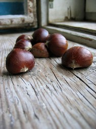 Drevni trik koji uvek uspeva: Kad čujete zbog čega su naše bake stavljale kestenje na prozorske daske i vi ćete uraditi isto