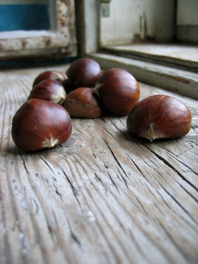Drevni trik koji uvek uspeva: Kad čujete zbog čega su naše bake stavljale kestenje na prozorske daske i vi ćete uraditi isto
