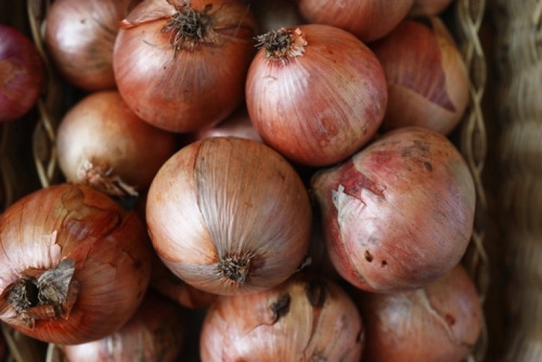 Sačuvajte luk: Na ovom mestu će duže trajati, domaćice potvrđuju i toplo preporučuju