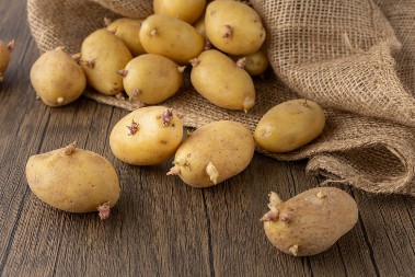 Ne jedite smežuran i proklijao krompir: Stručnjaci upozoravaju da je veoma opasan!