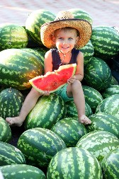 Svi je jedemo pogrešno: Endokrinolog otkriva koliko lubenice je PREVIŠE