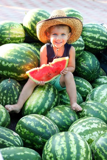 Svi je jedemo pogrešno: Endokrinolog otkriva koliko lubenice je PREVIŠE