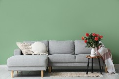 Popularno cveće nikako ne smete držati u jednoj sobi: Veruje se da unosi maler u kuću