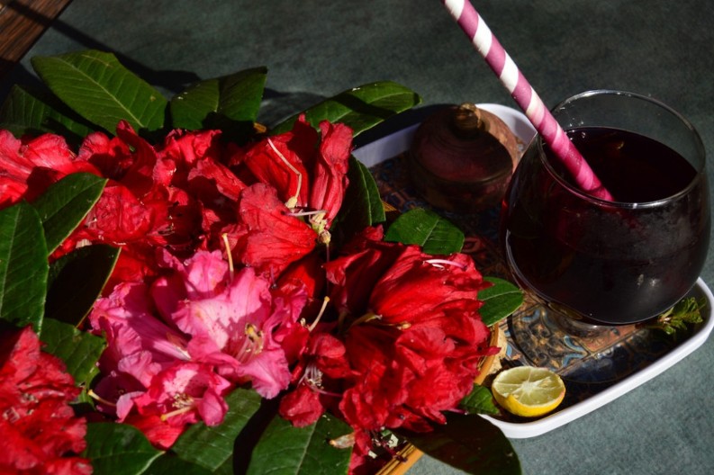 Savet iskusnih baštovana: Ovih 8 biljaka nikako ne smete dirati u novembru