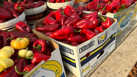 Ne bacajte peteljke od paprika: Kad saznate čemu služe, koristićete ih u svakom jelu