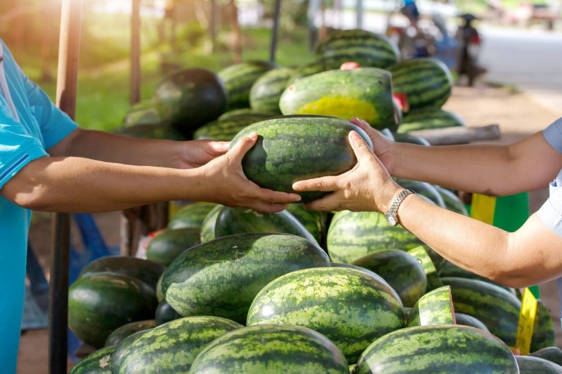 Kako prepoznati zrelu lubenicu? Jedan znak garantuje da ćete kupiti slatku kao šećer, i bez probanja!
