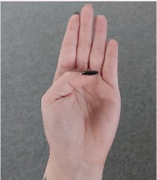 Kakve su vam ruke, takav vam je karakter: Rođene vođe imaju dugačak kažiprst, a evo šta znači debeo palac