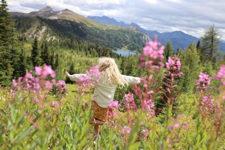 Najmoćnija biljka na svetu u Srbiji raste kao korov: Sirup od nje je pravi spas za srce!