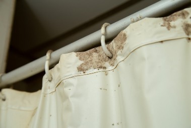 Buđ momentalno nestaje: Dodajte šolju ovog sredstva u veš mašinu i zavese će ponovo biti bele, domaćice kunu u ovaj trik