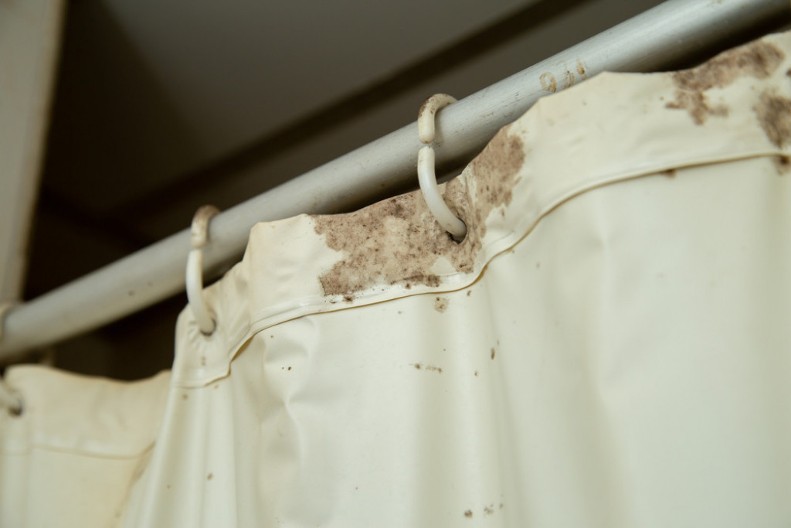 Buđ momentalno nestaje: Dodajte šolju ovog sredstva u veš mašinu i zavese će ponovo biti bele, domaćice kunu u ovaj trik