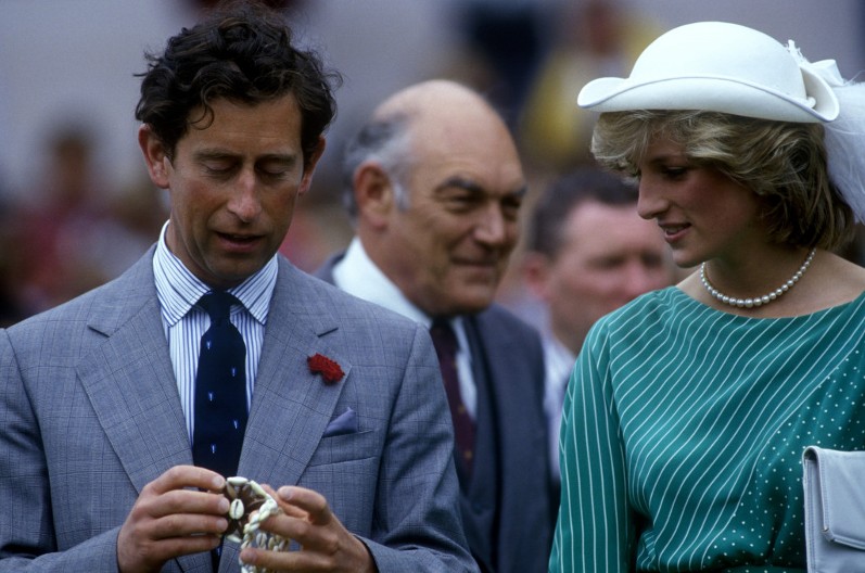 Prizor zbog kojeg svet plače: Osvanula fotografija princeze Dajane koja ostavlja bez teksta - sve bi bilo drugačije