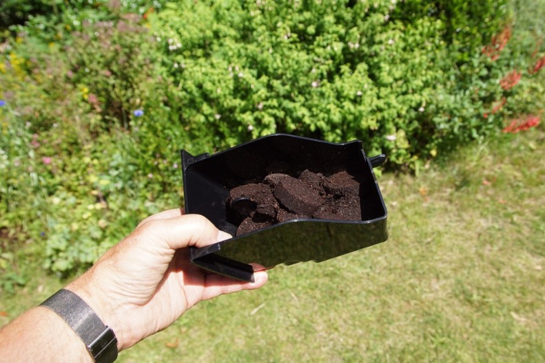 Stavite ovo u dvorište i nema više komaraca: Komšije neće verovati šta ste uradili