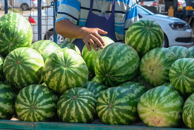 Zašto iskusne bostandžije stavljaju kamen na lubenicu? Evo šta se sa njima dešava, ako jedna takva završi kod vas...