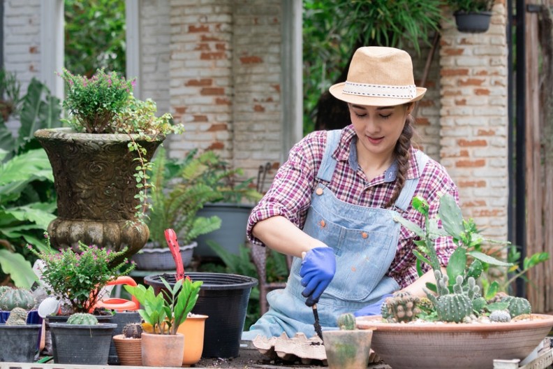 Kako se rešiti komaraca na jednostavan način: Uz pomoć kartonskih kutija od jaja oteraćete ih zasvagda