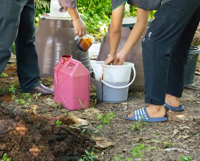 Kesicu kvasca pospite po bašti: Samo gledajte rezultat, vaše biljke posle 7 dana postaće šuma