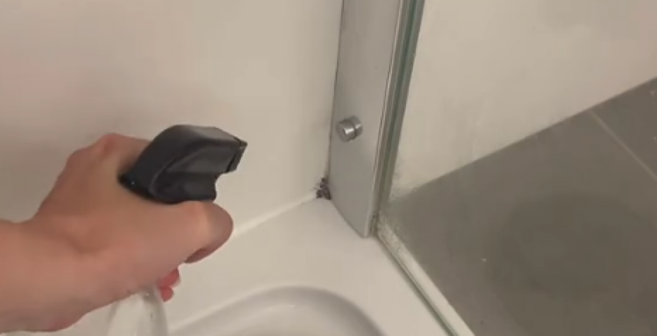 Ana prska ove 2 stvari na buđ: Zaboravila je na hemikalije od kad koristi prirodno rešenje, njena tuš kabina blista