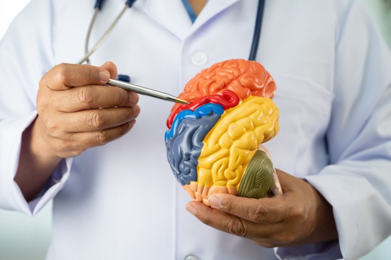 Podmladite mozak: Ima da radi kao podmazan kada primenite ove navike, ishrana je važna, ali i ovo