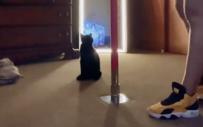 Mačka postala striptizeta: Videla vlasnicu pa i ona zaigrala prljavi ples, ovo još niste videli!