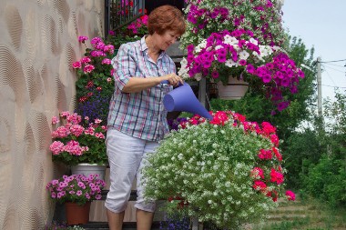 Zovu ga crnim zlatom za cveće: Buja kao ludo kad ga zalijete ovim prirodnim rastvorom!