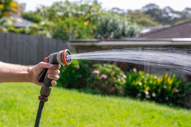 Ni u ludilu crevom: Ove biljke nisu dovoljno jake da idrže pritisak, bolje ih zalivajte kantom