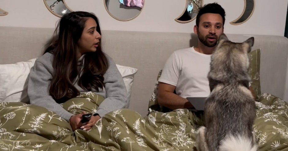 Pas oduševio 19,5 miliona ljudi: Samo da vidite kako očita bukvicu svom vlasniku jer ne sluša suprugu!