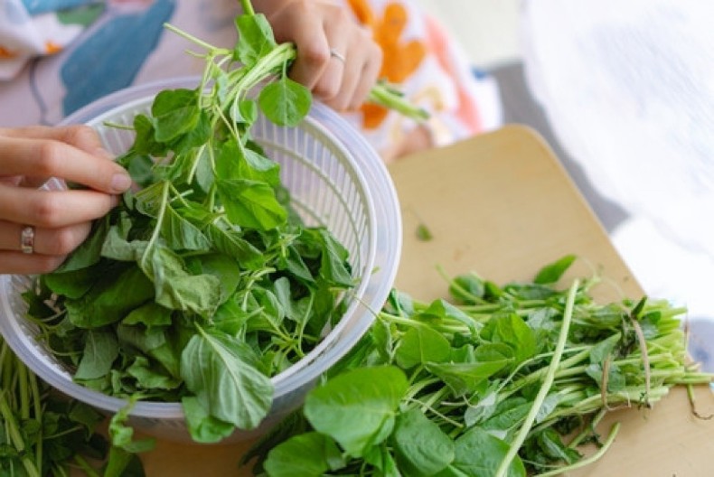 Ogromna greška u pripremi spanaća: Samo ovakav je zaista zdrav