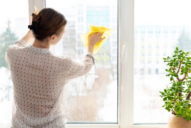 Ne bacajte pare na hemikalije: Samo jedno prirodno sredstvo najbolje čisti prozore, plus tera ove štetočine