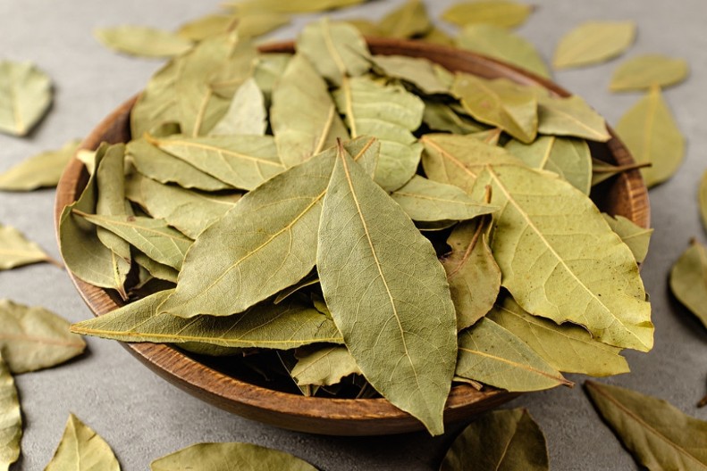 Zašto sve više ljudi u Srbiji stavlja lovorov list u kupatilo? Kada budete čuli razlog, odmah ćete uraditi isto!