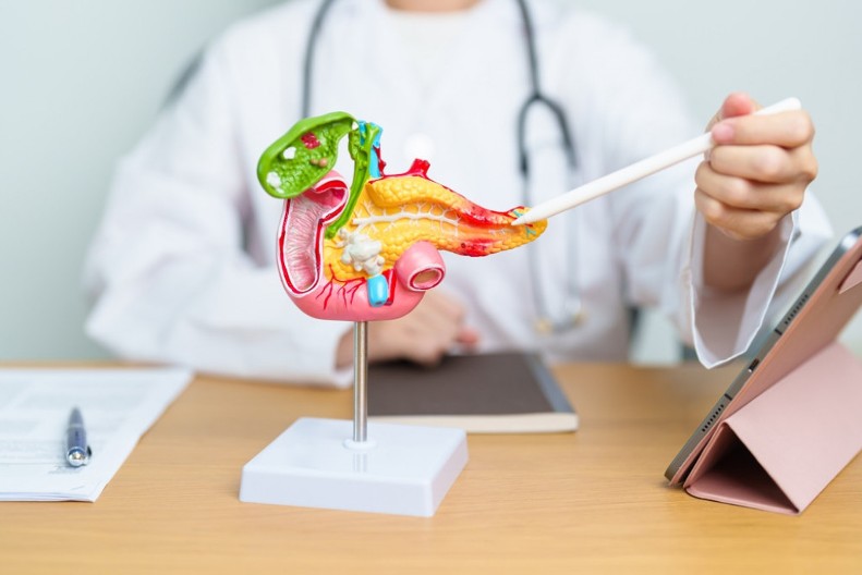 Čuvaju zdravlje pankreasa: Ove namirnice treba da uvrstite u svakodnevnu ishranu, a evo šta treba da izbegavate