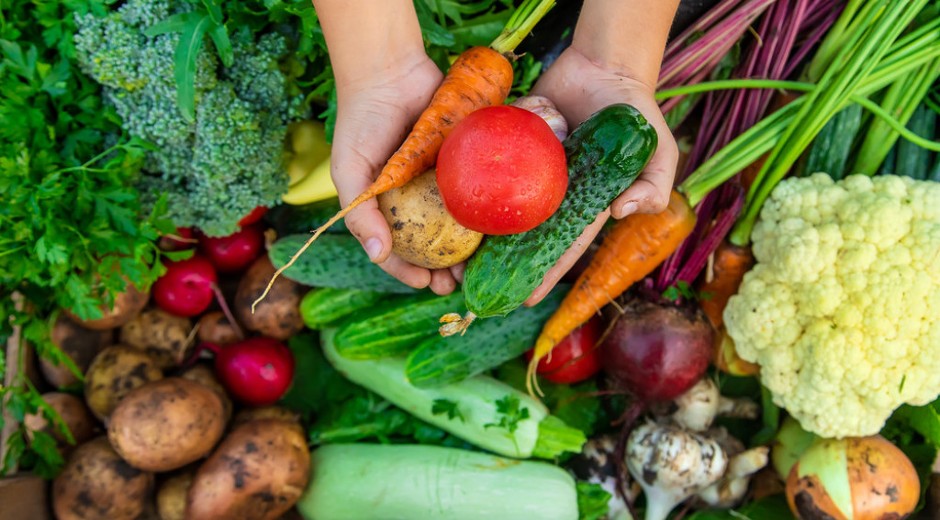 Ovo znaju samo stari baštovani: Zalivajte paradajz i krastavac ovim rastvorom, rađaće kao ludi
