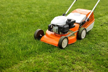 Izaberite pravo vreme: Nikada nemojte kositi travu u ovom periodu, sigurno ćete je uništiti