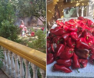 Generacije su ga obožavale: Otkrivamo kako se pravio makedonski ajvar koji osvaja sva čula