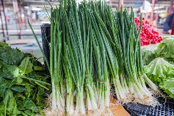 Mladi luk će ostati svež 2 nedelje! Kuvar je otkrio trik pomoću kojeg se neće osušiti i pokvariti