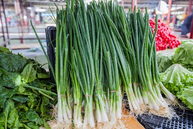 Mladi luk će ostati svež 2 nedelje! Kuvar je otkrio trik pomoću kojeg se neće osušiti i pokvariti